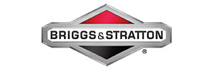Briggs Stratton