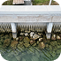 Seawall