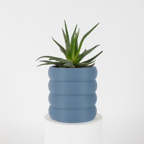 Plant & Garden