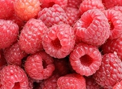 Fruit Extracts