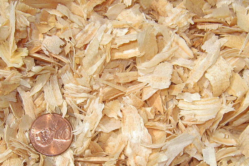 Large Shaving Horse Bedding