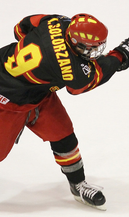 Hockey Player Action