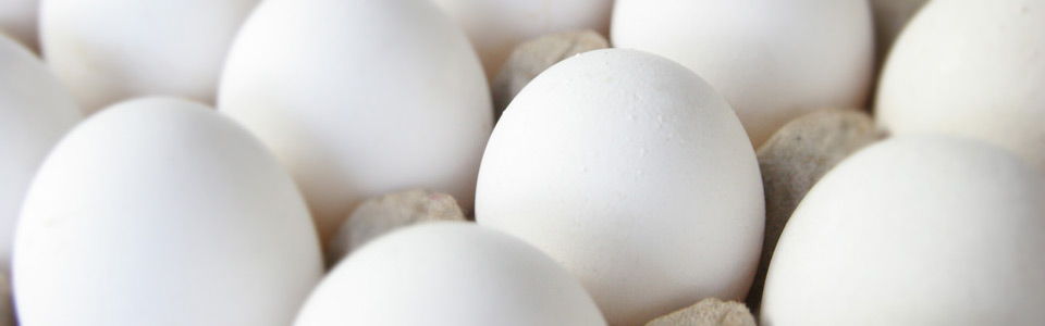 Eggs