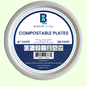 6” Plates