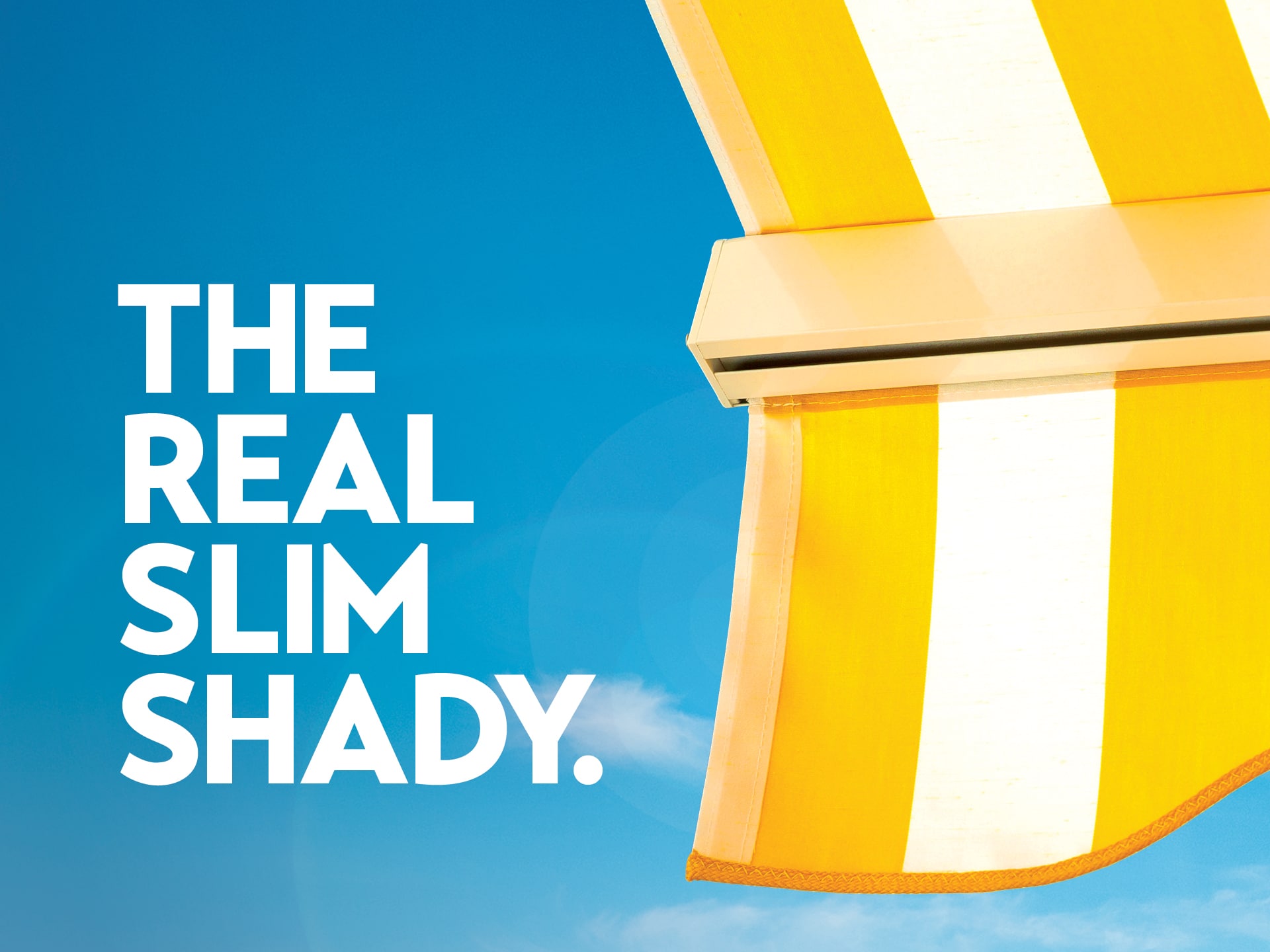 The Real Slim Shady