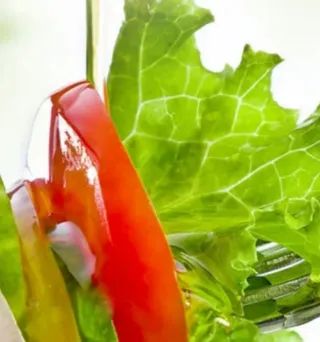 Salad Oils thumbnail