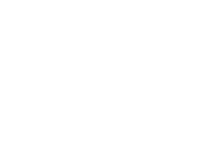 The Andersons