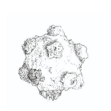 Viruses