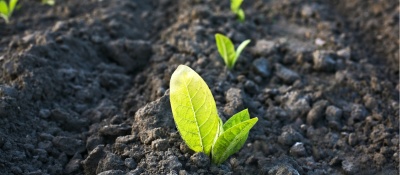 Agricultural