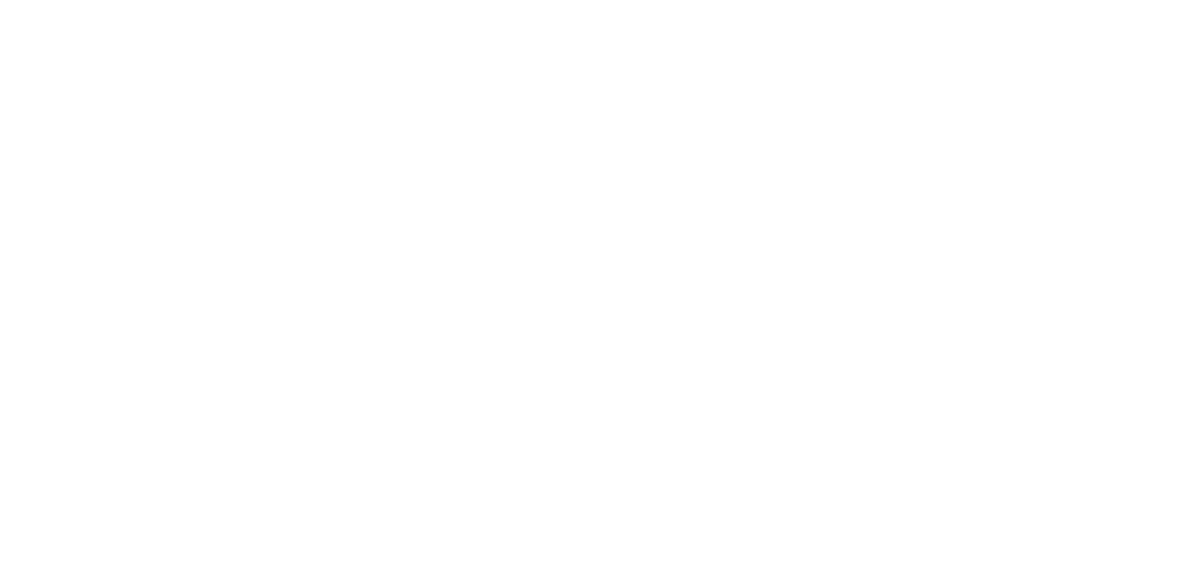 PAOWPlantBasedProtein