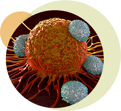 Cancer research1