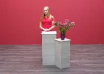 Indoor Pedestals