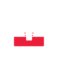Artboard 1 copy 2icon-color
