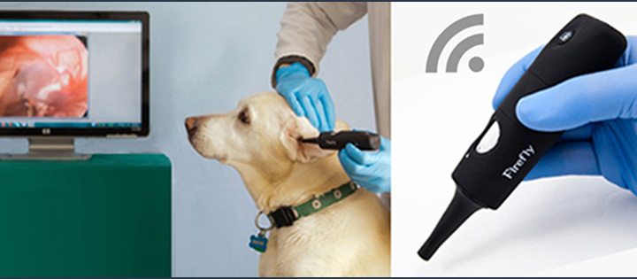 Homepage_Slide_Veterinary