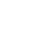 SOC2 T1 - white