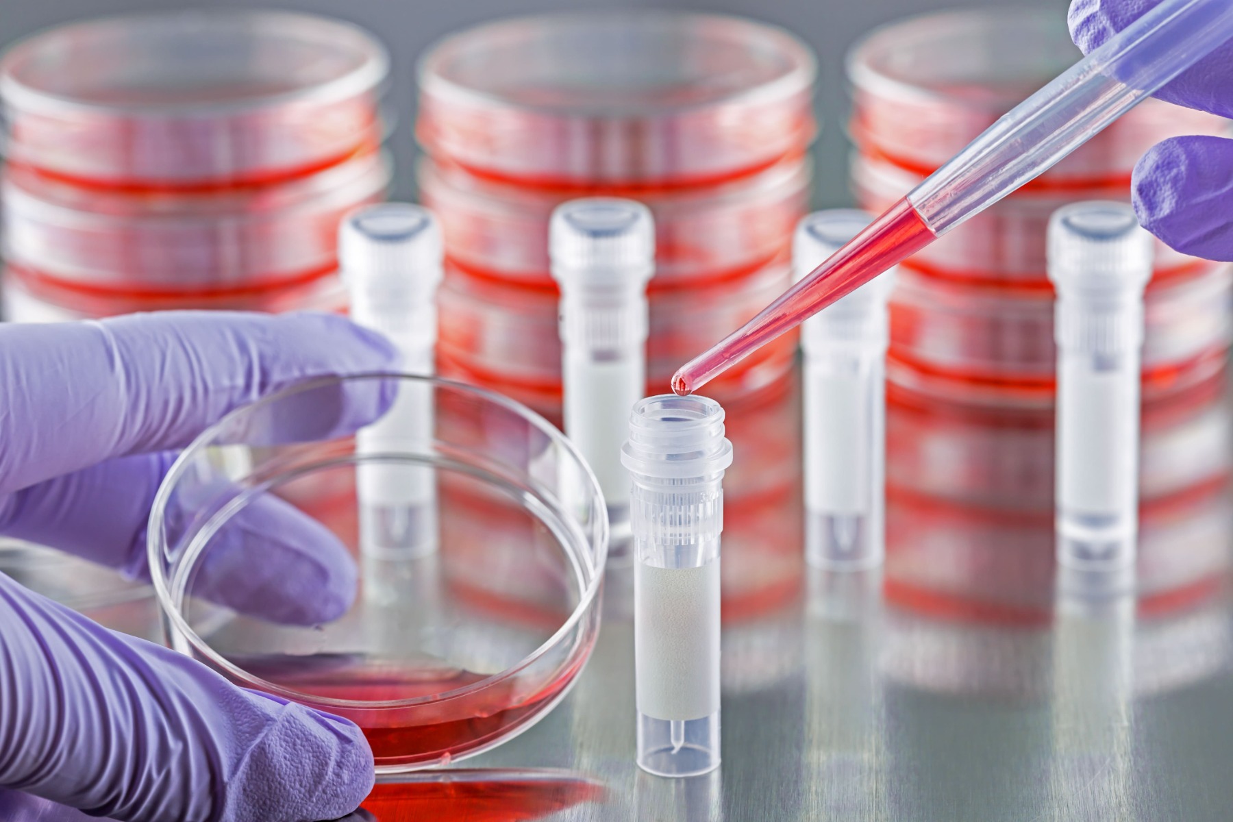 Stable cell line generation
