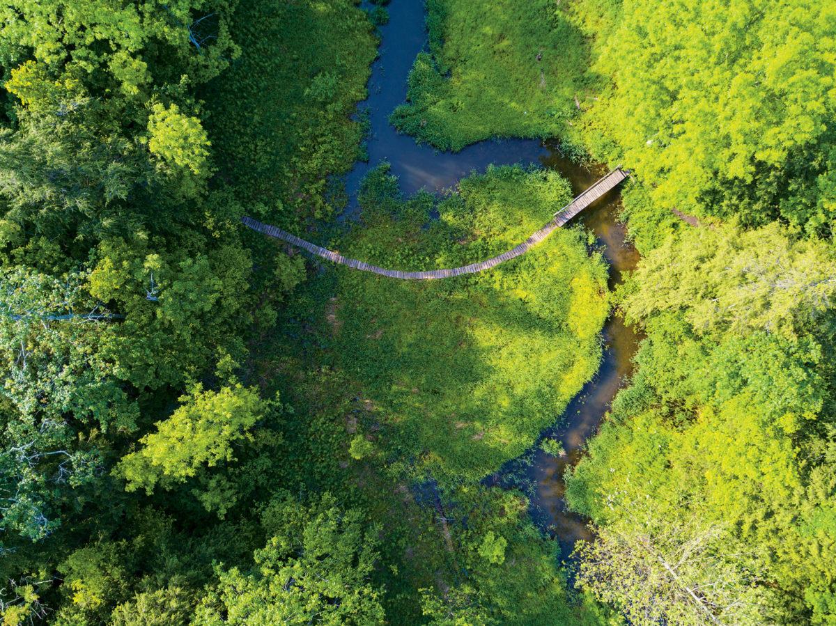 Conservation