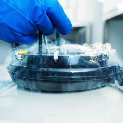 Cryogenics