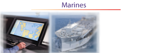 Marines Display