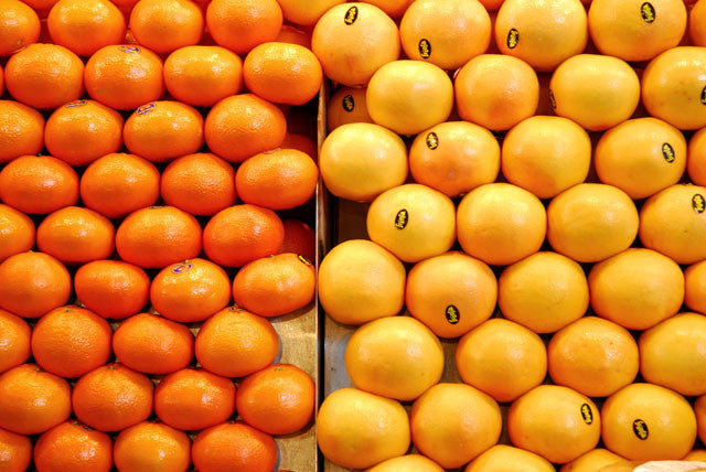 Citrus Pests