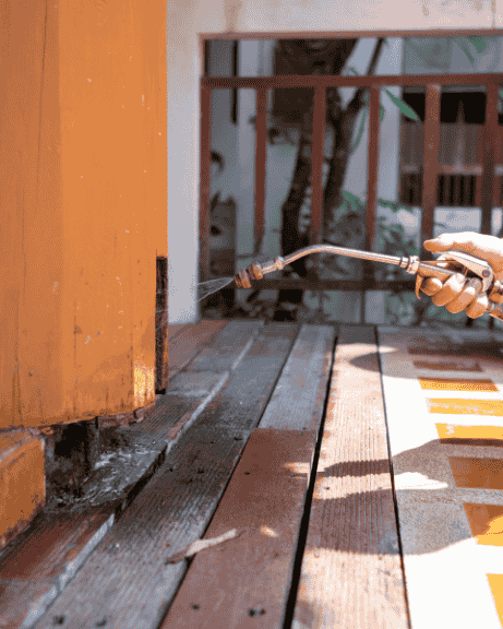 Termite Treatment