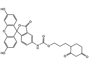Dcp-fl
