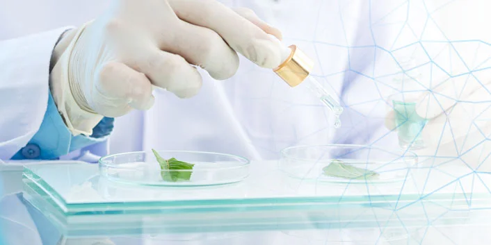 Eco-Friendly