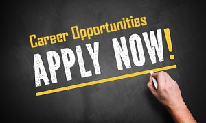 Apply for Job