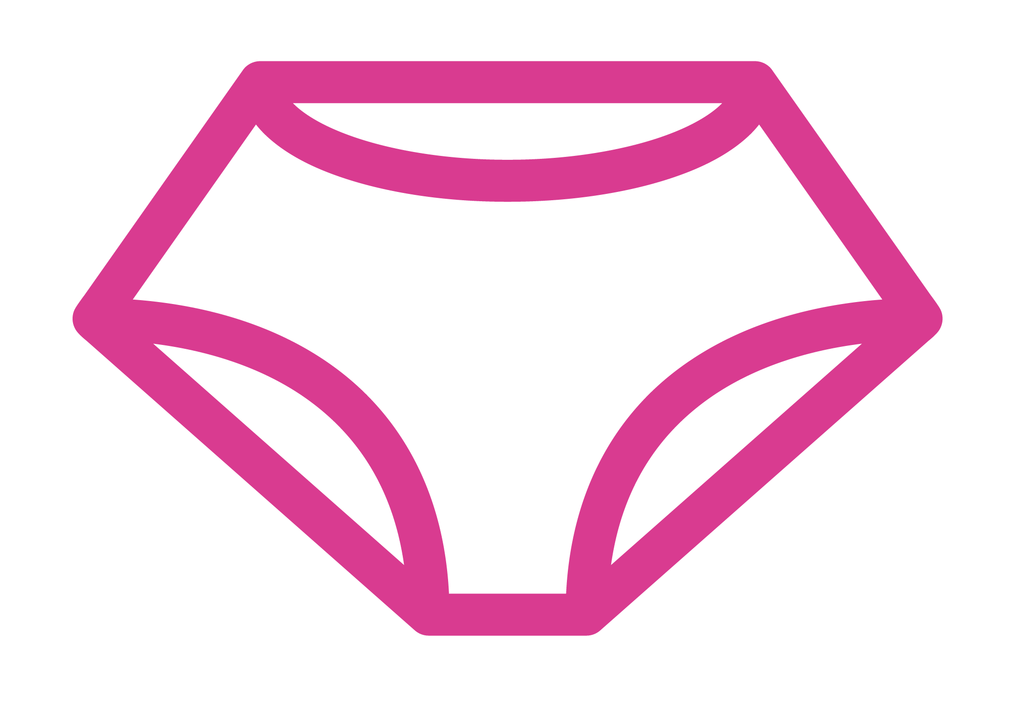 Bikini_briefs