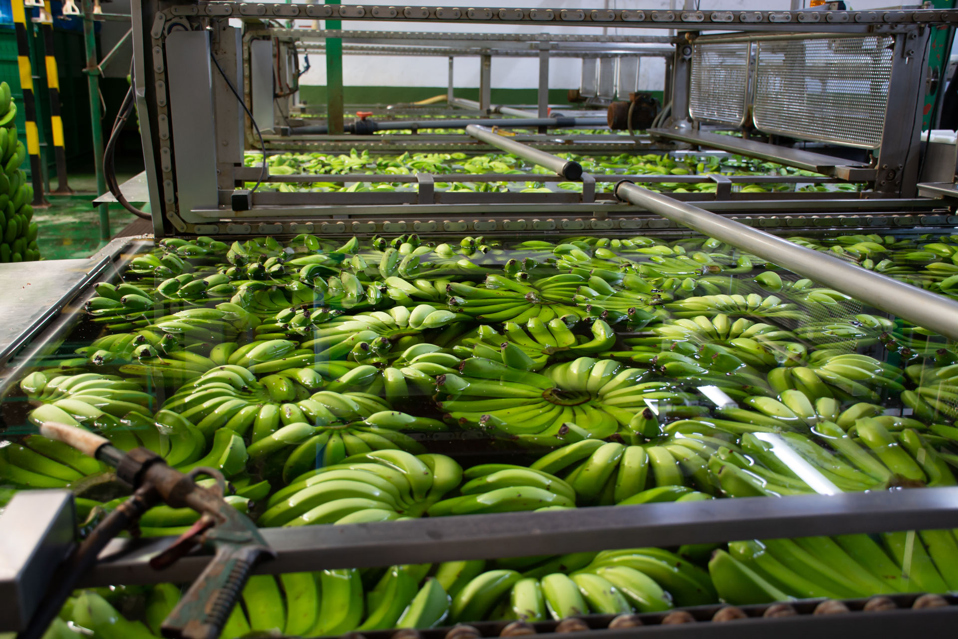 Banana-processing