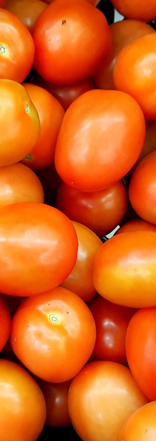 Tomatoes Vegan Food Delivery