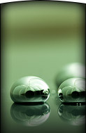 Hgx® Mercury Decontaminant