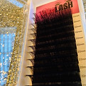 Lash Tray