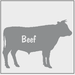 Beef Processing
