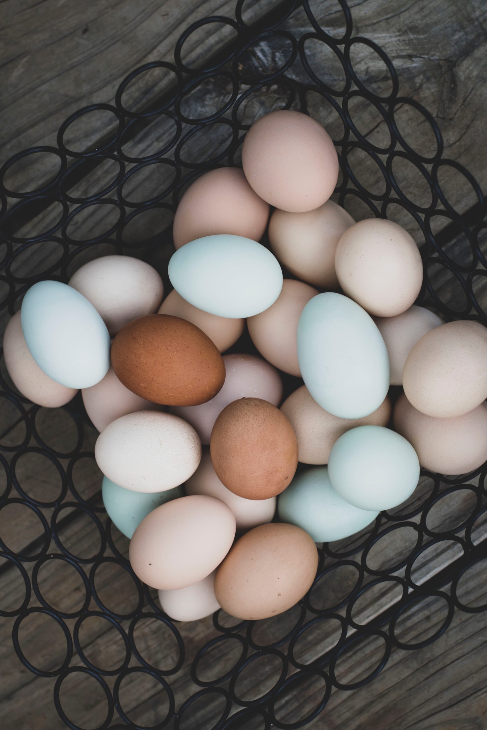 Eggs