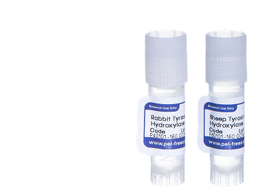 Antibodies category