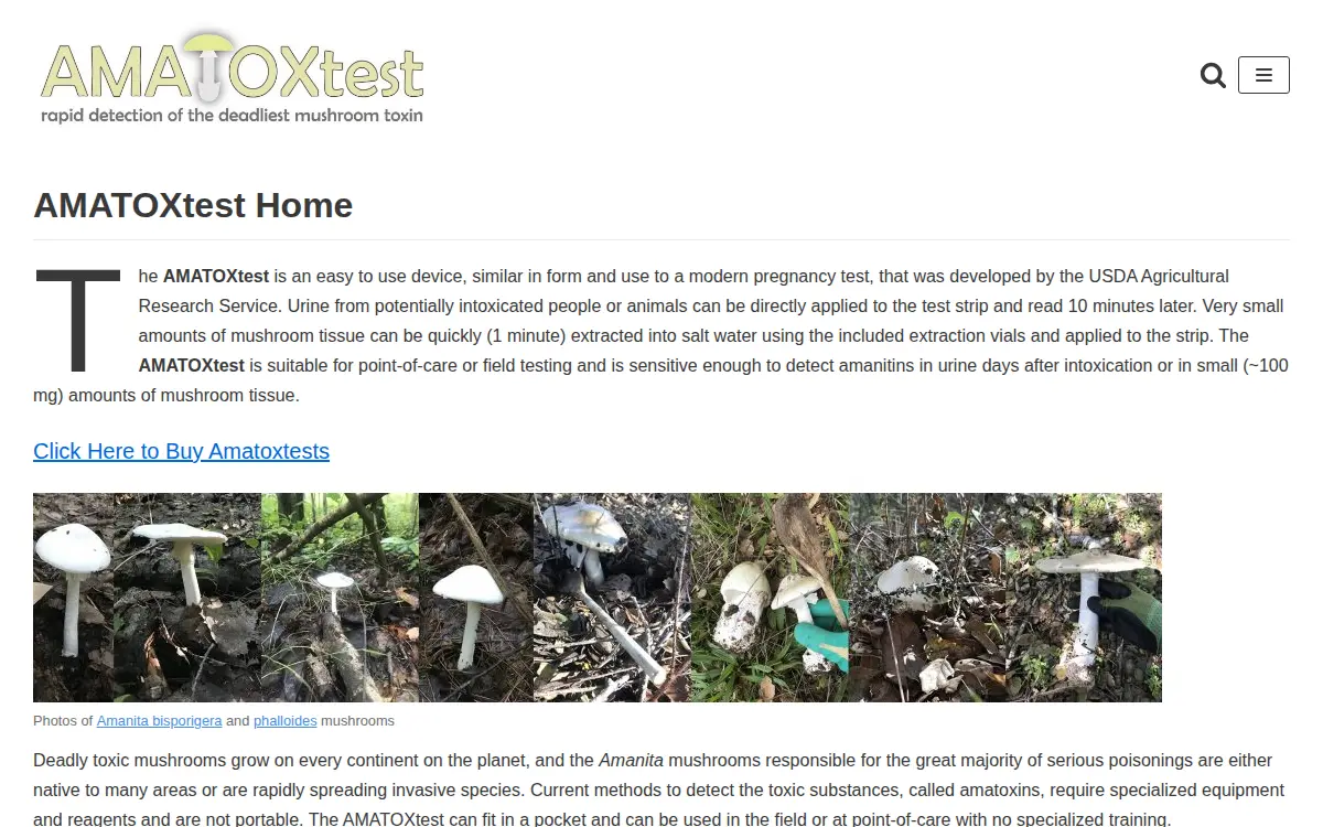 Homepage of Amatoxtest LLC