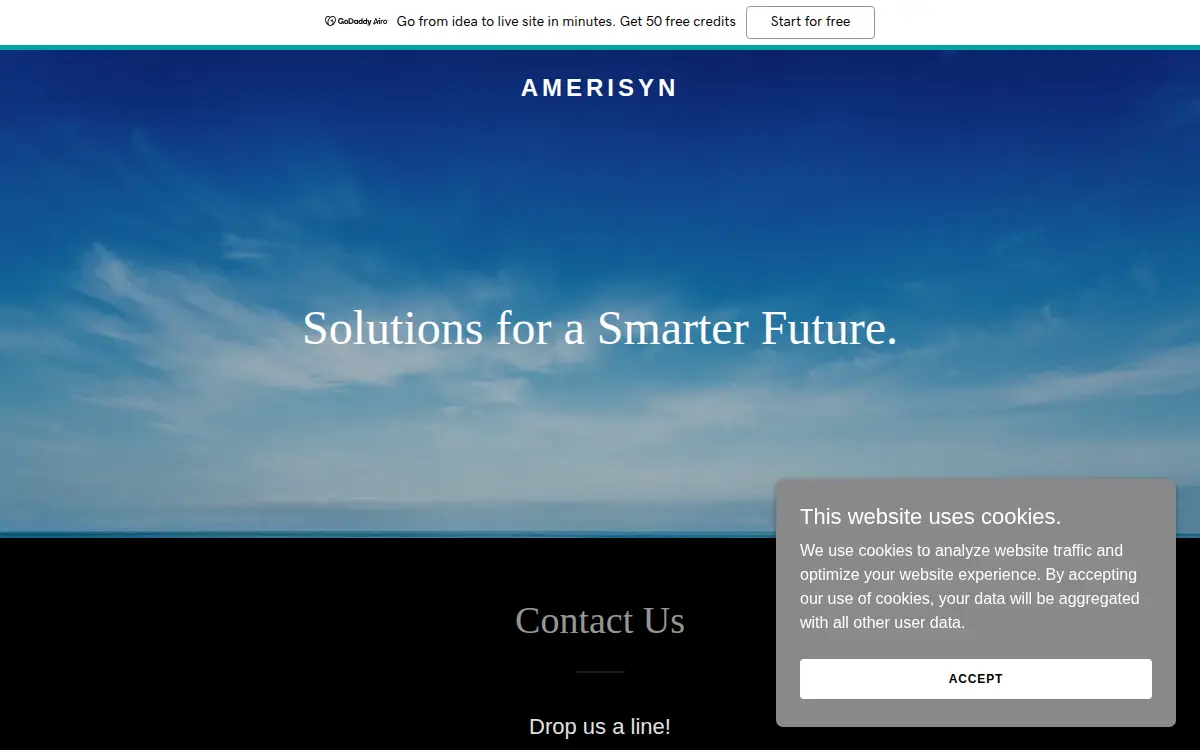 Homepage of Amerisyn, LLC