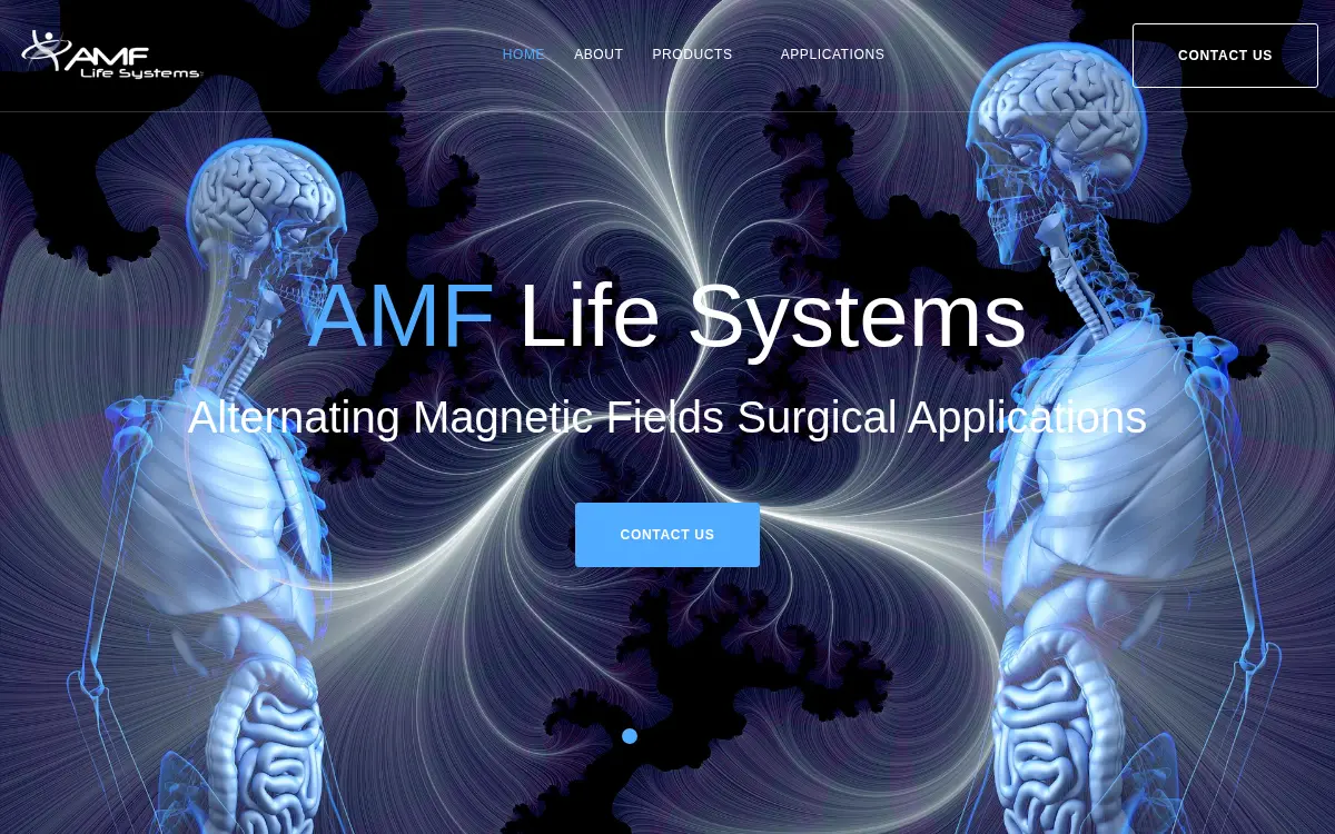 Homepage of Amf Life Systems LLC