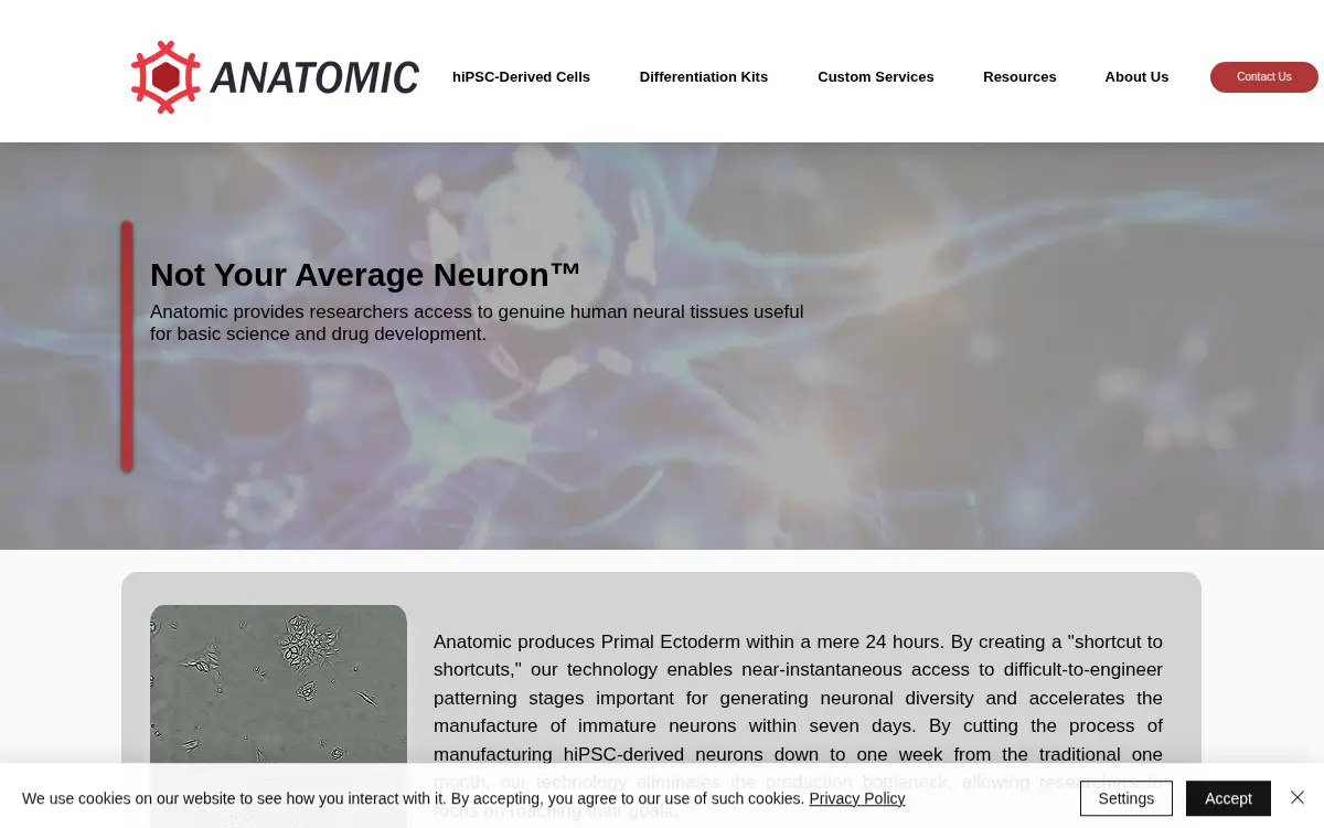 Homepage of Anatomic Incorporated