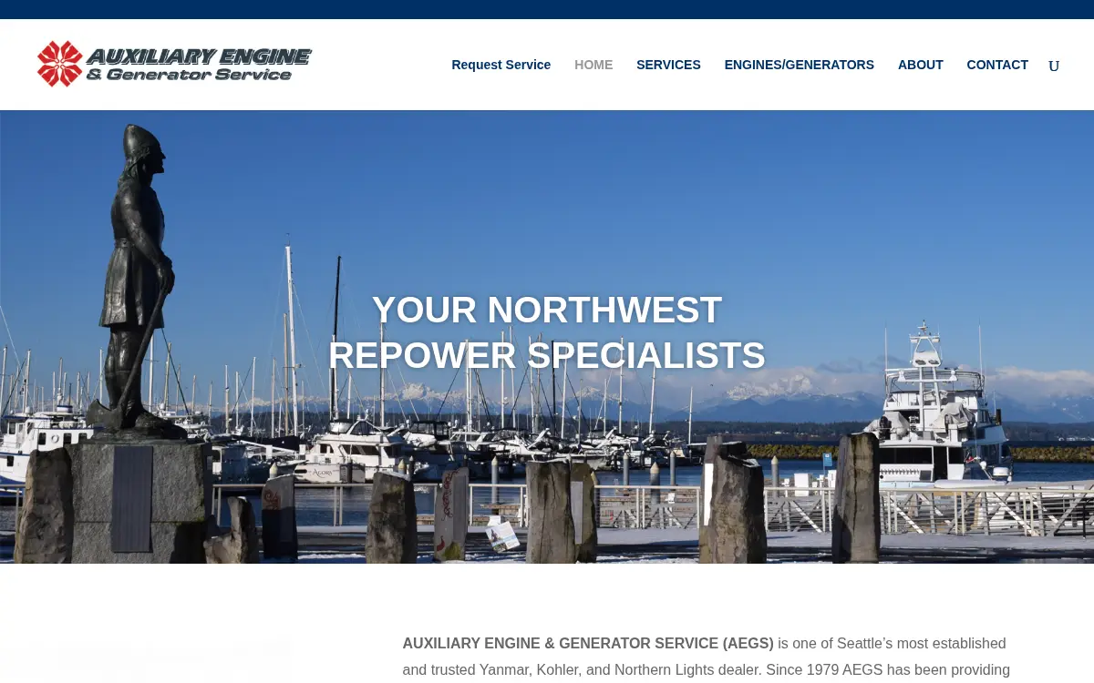 Homepage of Auxiliary Engine & Generator Service LLC