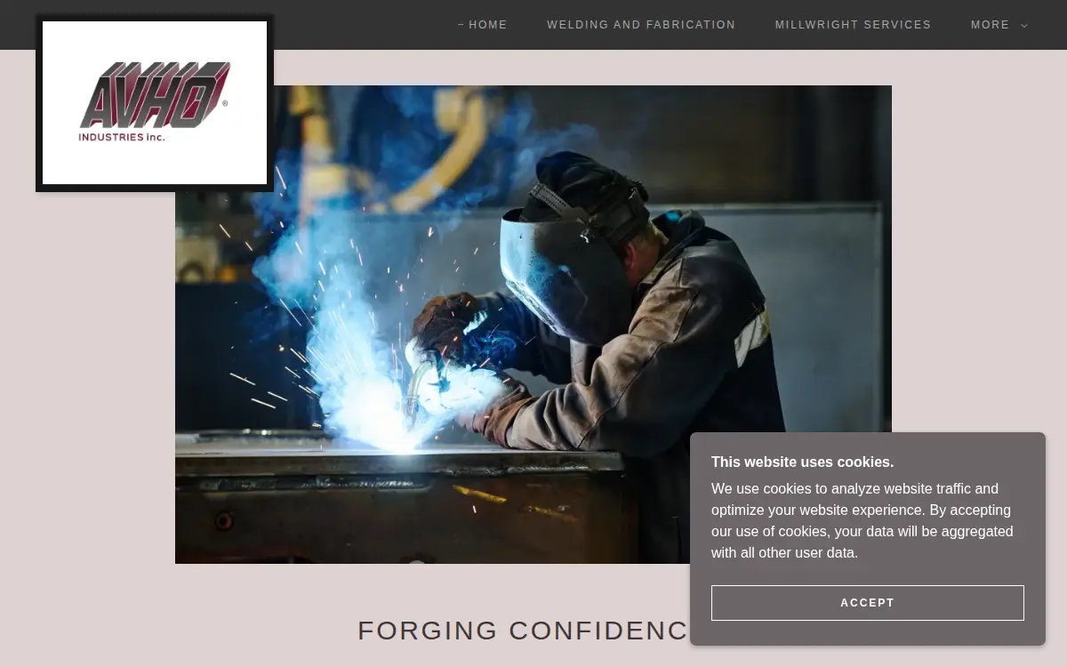 Homepage of Avho Industries INC