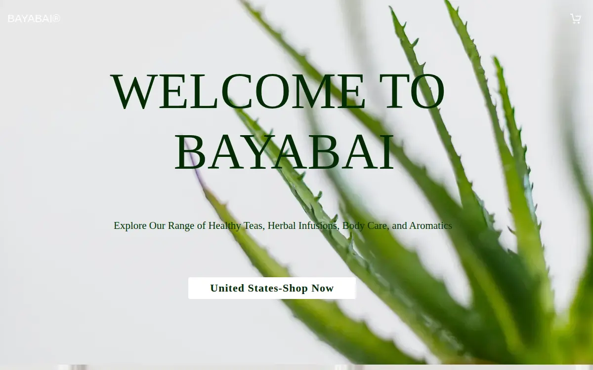 Homepage of Bayabai LLC