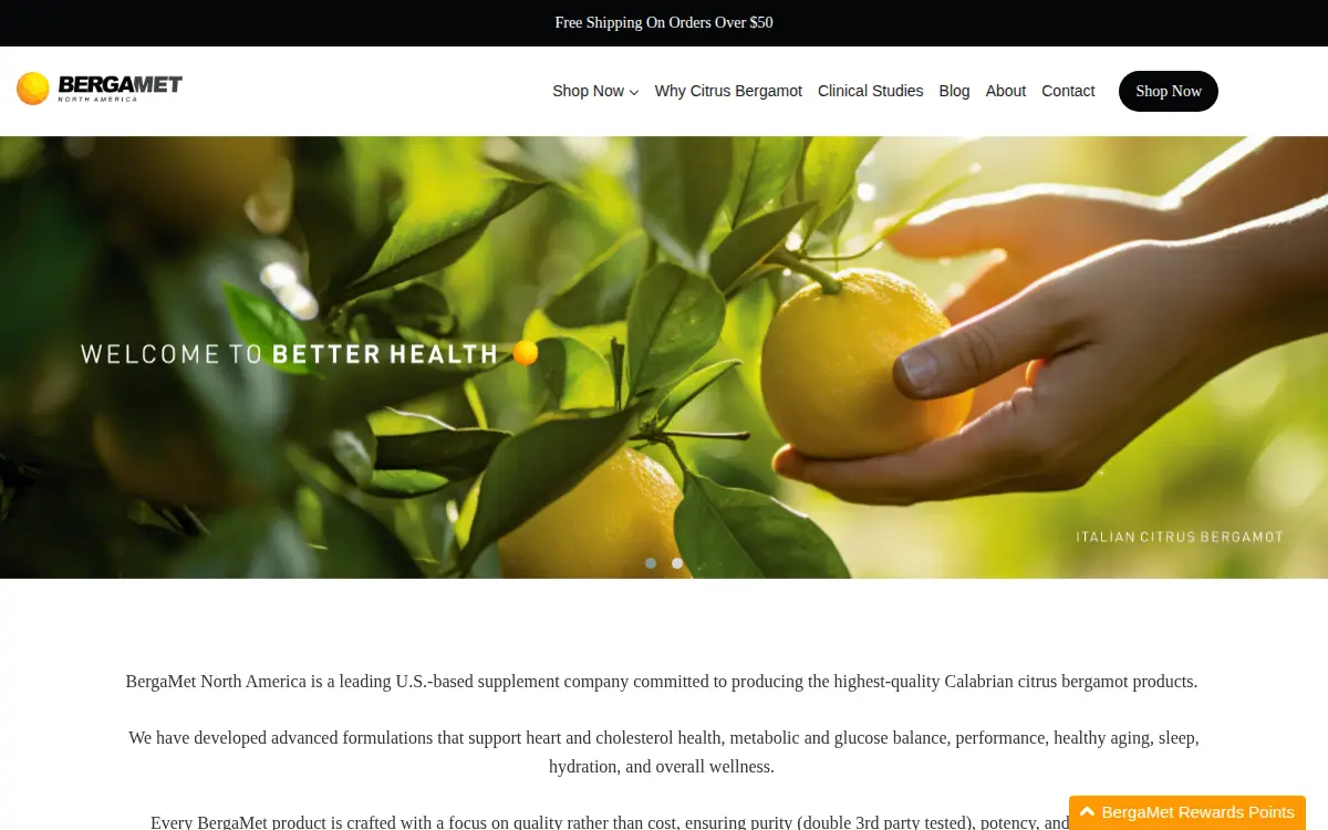 Homepage of Bergamet NA LLC