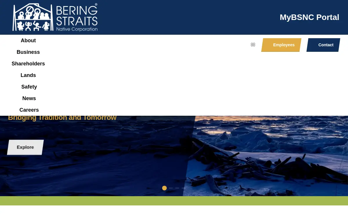 Homepage of Bering Supply Solutions, LLC