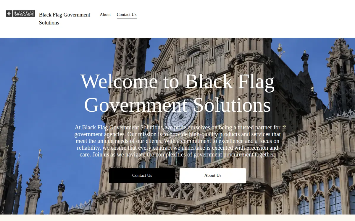 Homepage of Black Flag Government Solutions LLC