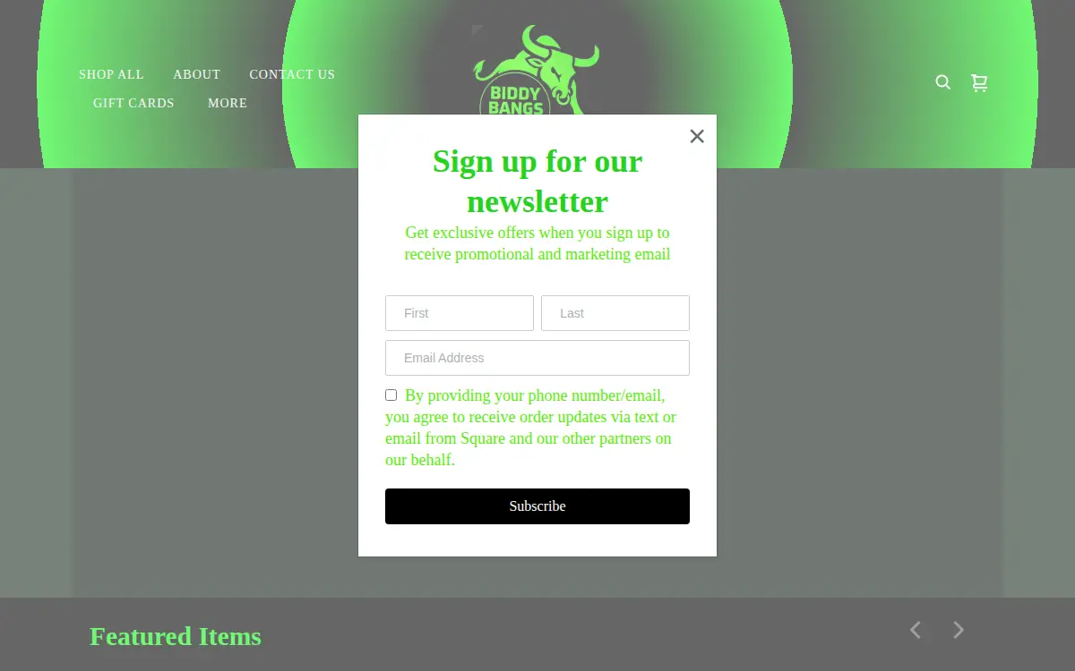 Homepage of Biddy Bangs LLC