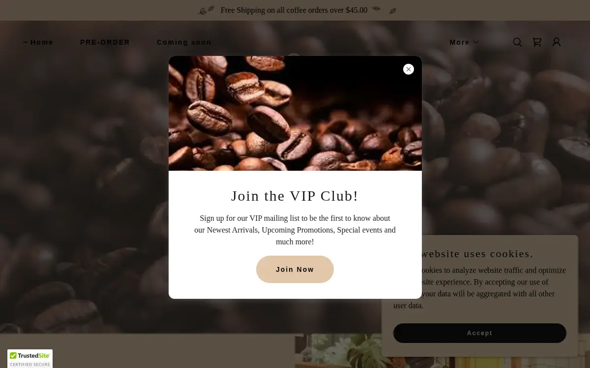 Homepage of The Birlon Group LLC