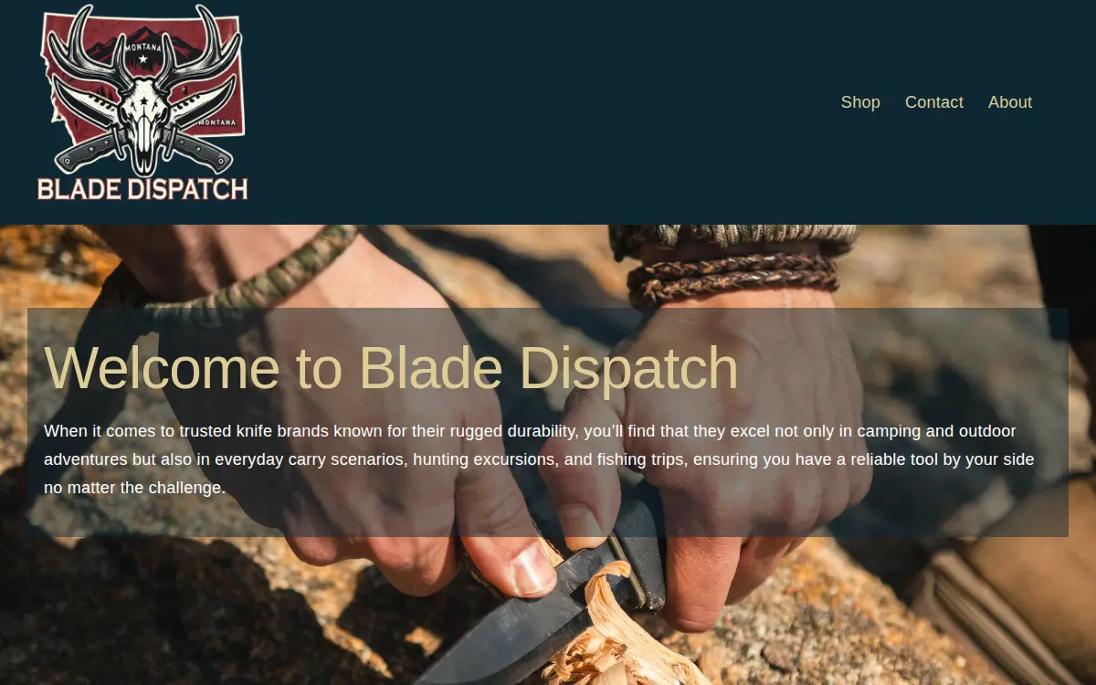 Homepage of Blade Dispatch LLC