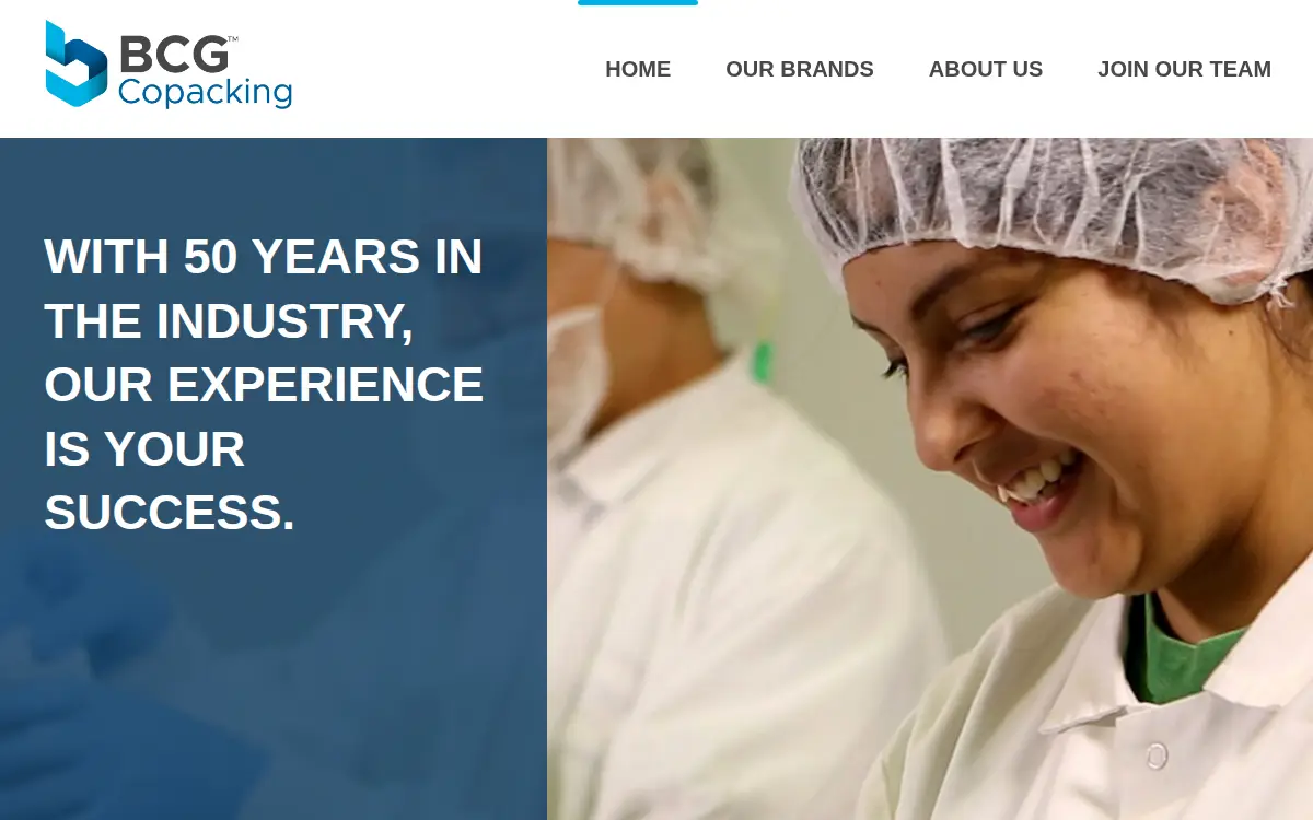 Homepage of Blue Chip Group, LLC